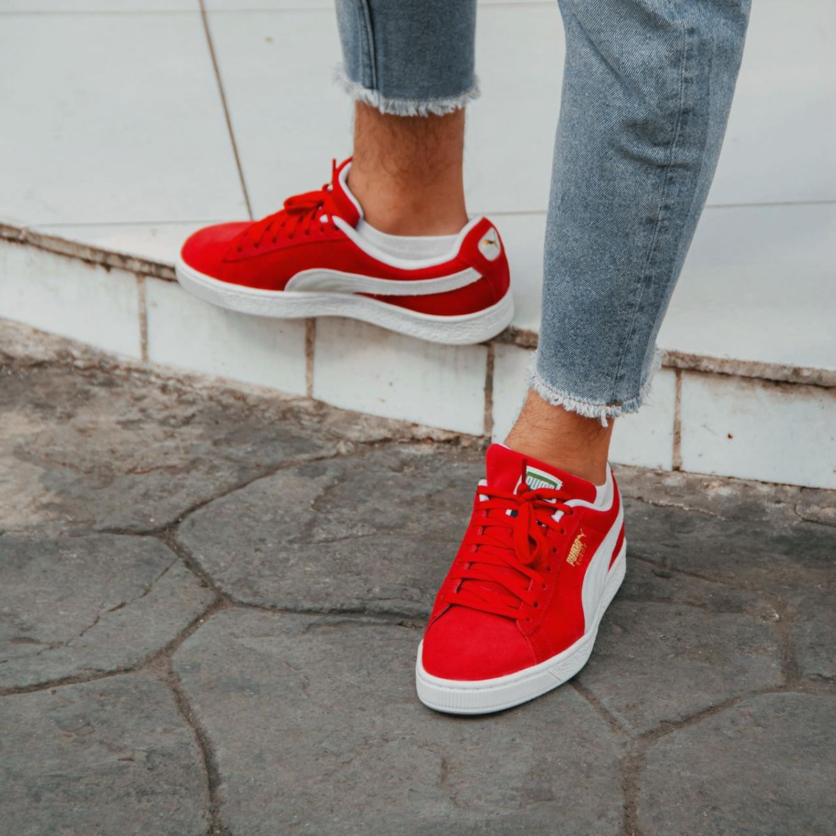 Puma_with_Red_Laces